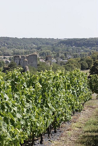 Coteaux du Vendomois_ete 2006_Eric Mangeat 01-2