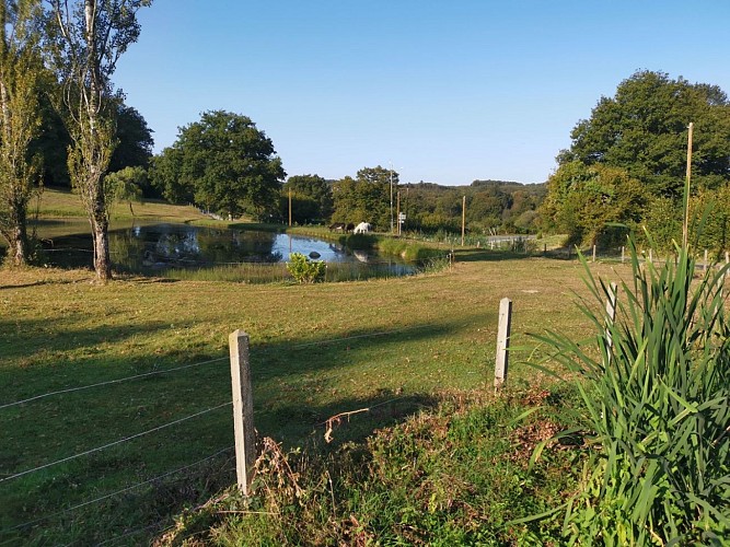 IMG_20200914_094600 (Grand)