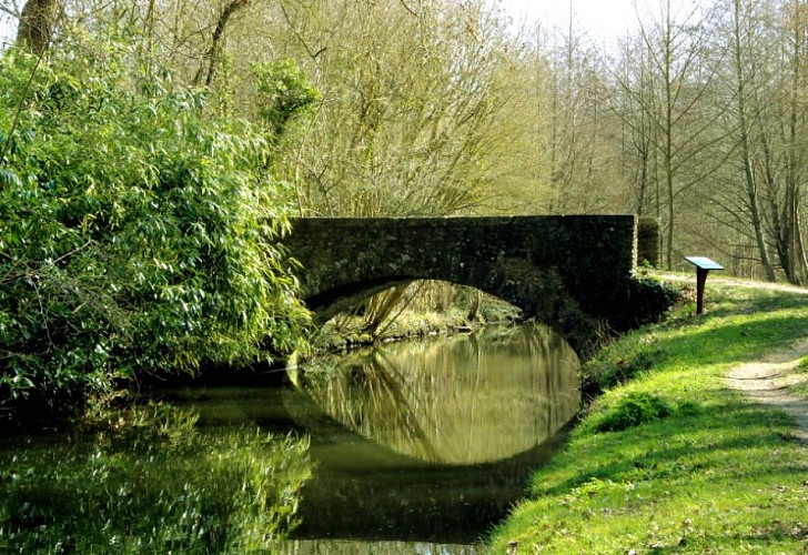 Fiche UFOLEP Hanches3