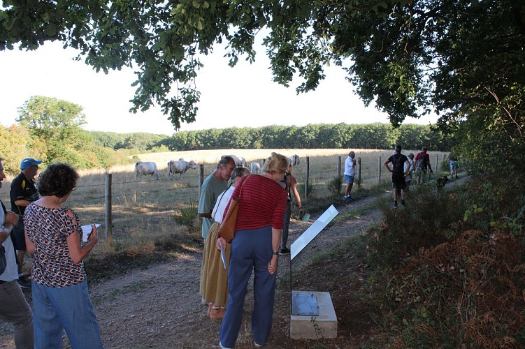 Soulaires5_Crédit_OtPortesEureliennes