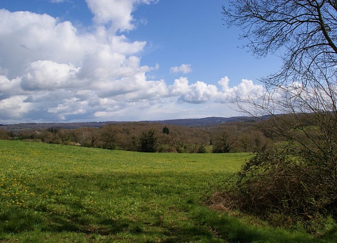 Paysage Suisse Normande