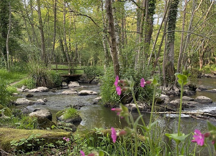 Randonnée le chant des cailloux