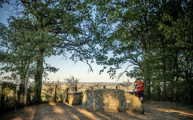 Vestiges du château de Peyroles (La Salvetat-Peyralès)