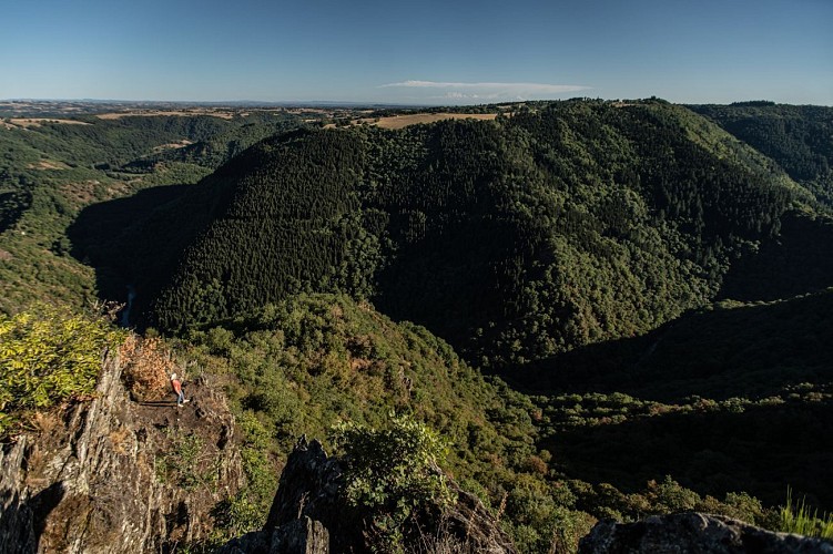 Cheval du Roi (Lescure-Jaoul)