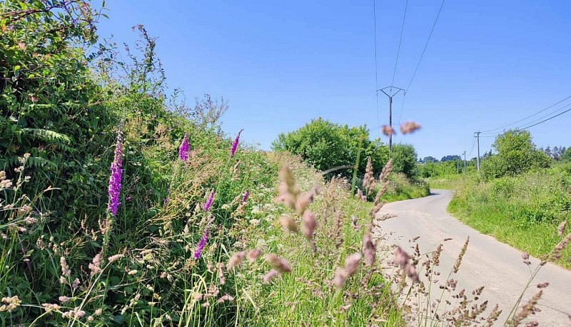 Route de campagne - Lanmérin