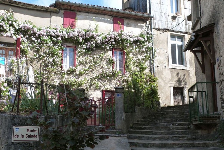 Sentier du terrier__montee de la calade village