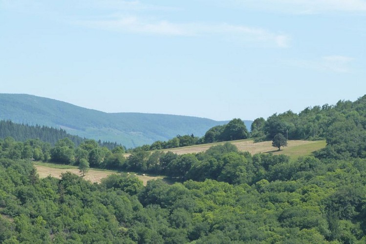 Sentier du terrier_point de vue
