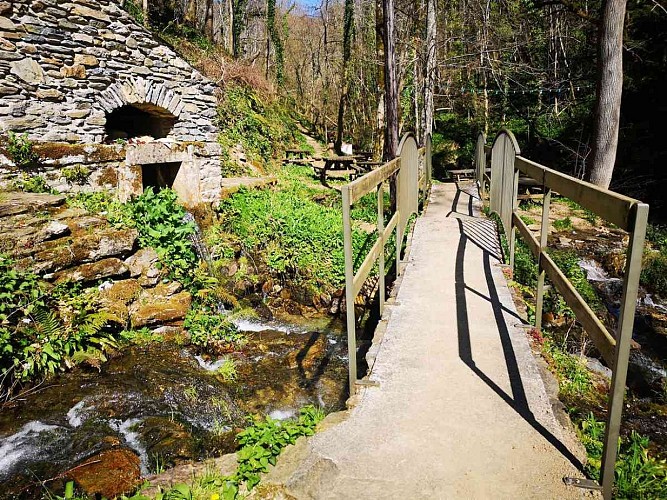 Le bois des Gardes_source-ferrals