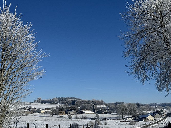 Circuit-bataille-des-ardennes-libramontchevigny©MTFSH_TEXTO_Pascal_Willems_ (3)