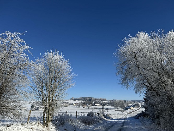 Circuit-bataille-des-ardennes-libramontchevigny©MTFSH_TEXTO_Pascal_Willems_ (5)