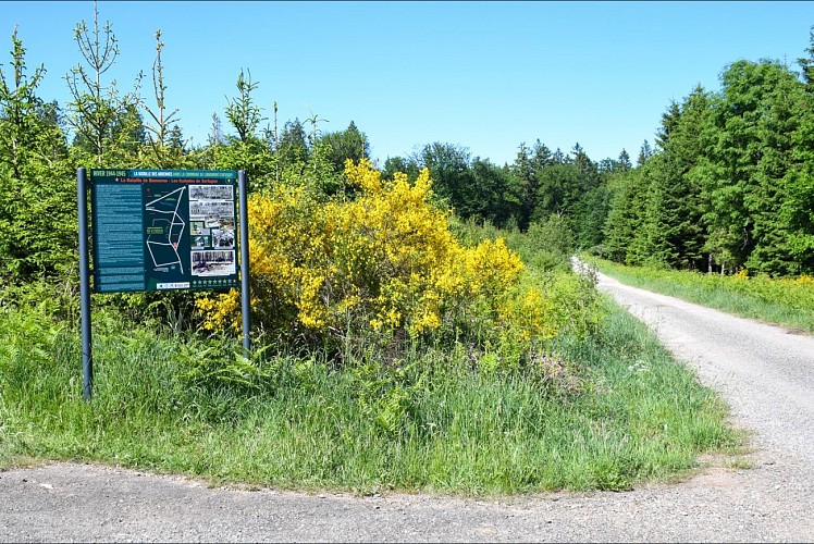Bataille des Ardennes