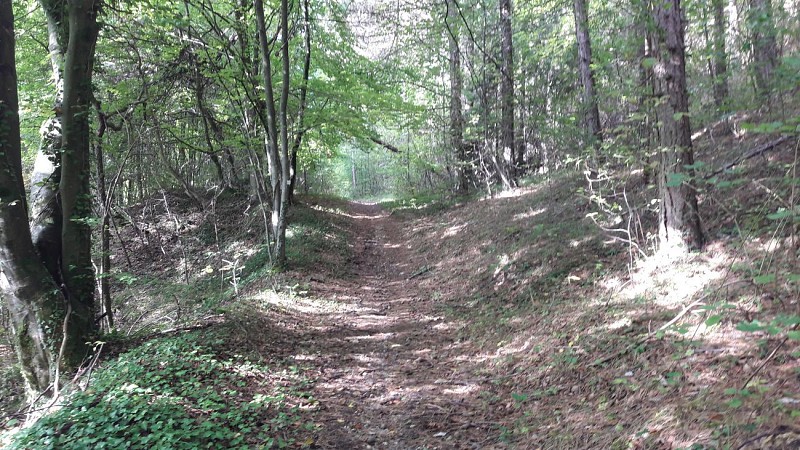 Circuit de Saint Maurice sous les cotes
