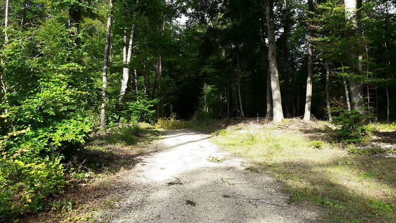 Circuit de Saint Maurice sous les cotes
