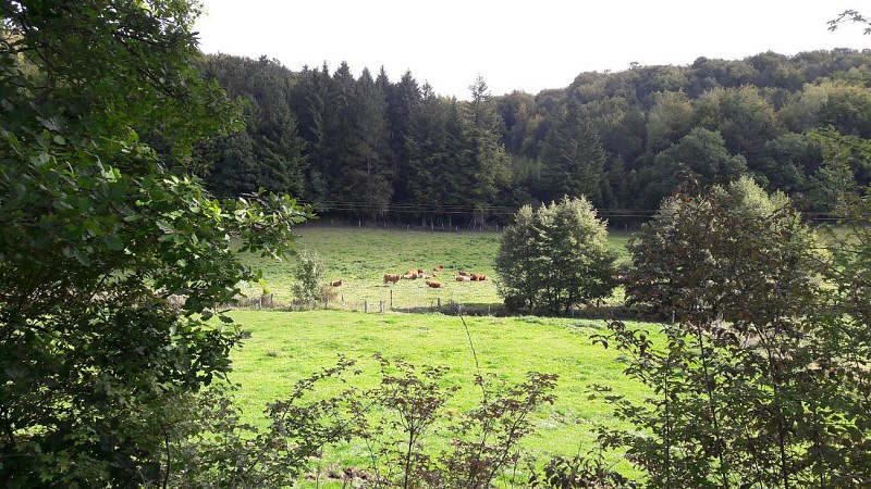 Circuit de Saint Maurice sous les cotes