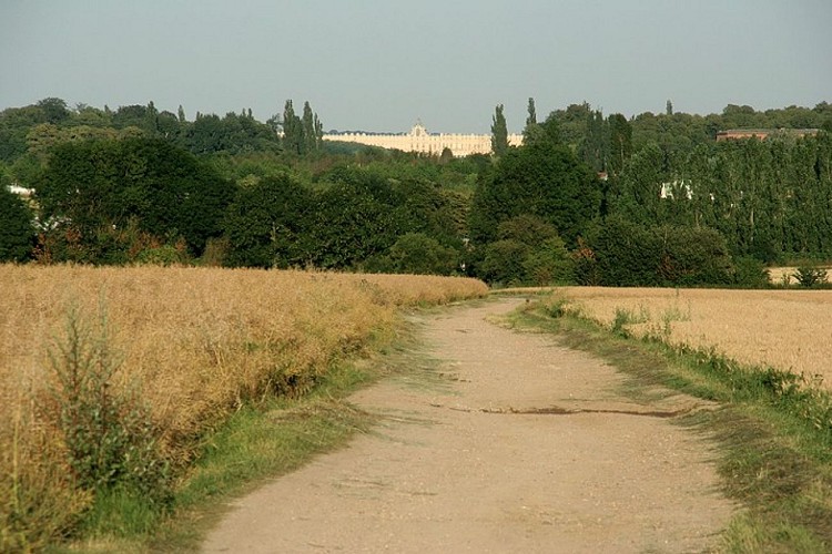 Cycling route - The plain of Versailles