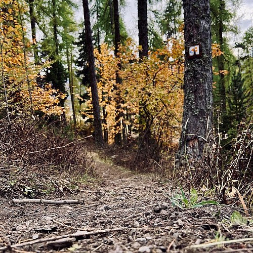 Single de descente aux Orres
