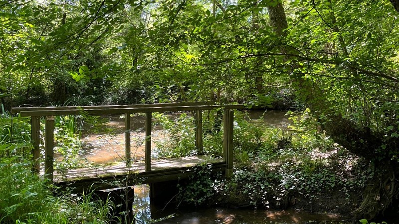 Agenda en ligne - SBT - 11