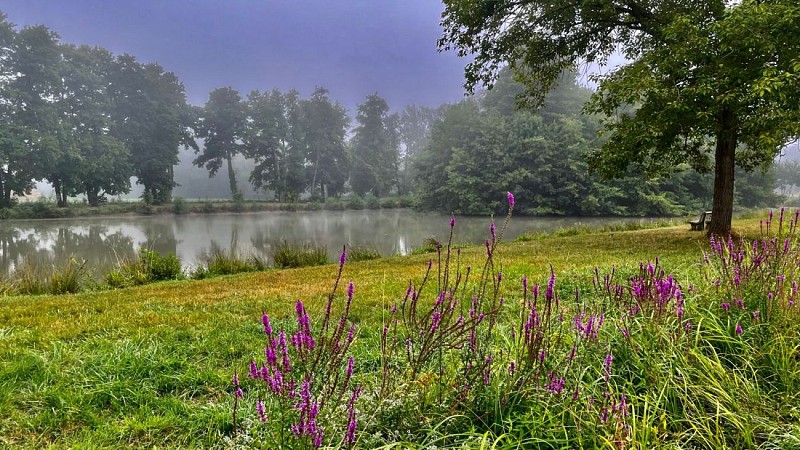 Lac de Beautiran