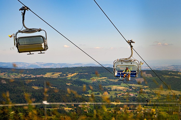 N°76 - Les jonquilles - Circuit Enduro - Espace VTT-FFC Massif des Bois Noirs_Chalmazel - Jeansagnière