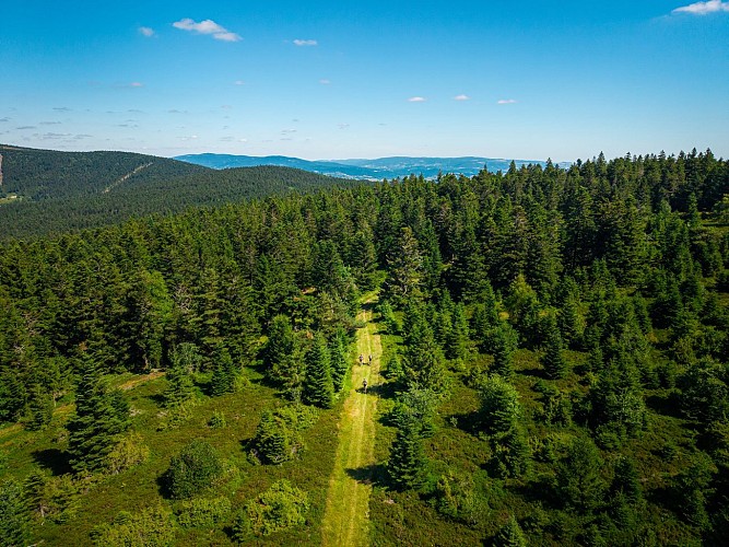 N°79 - Col de la Loge - circuit enduro - Espace VTT-FFC Massif des Bois Noirs_La Chambonie
