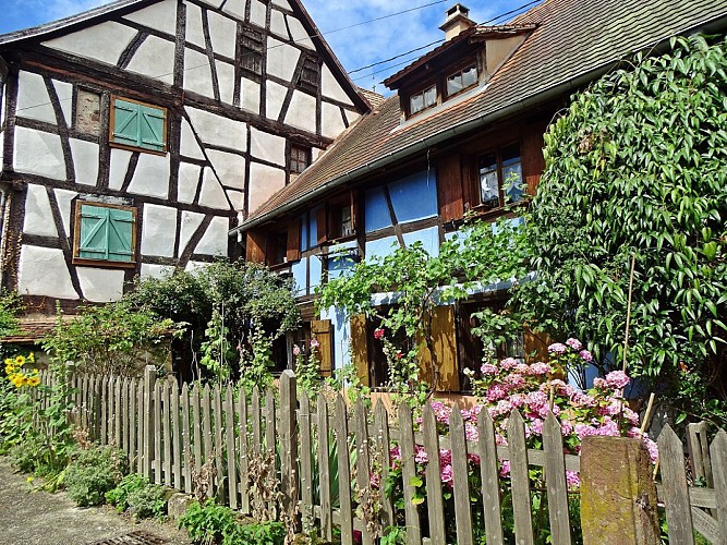 Découverte de Bouxwiller