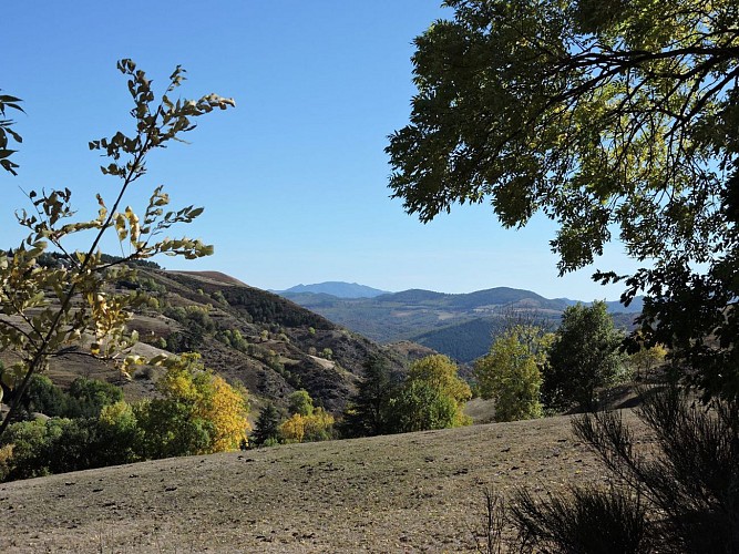 vue Cévennes