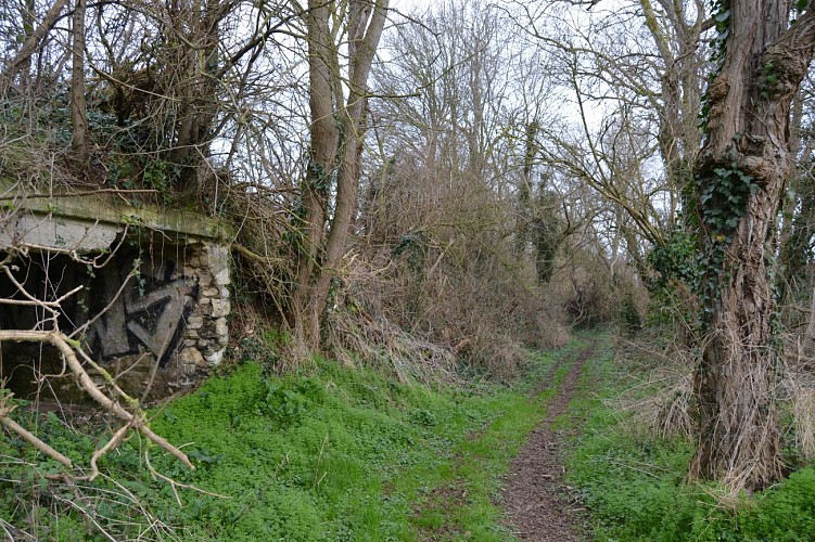 Vestige allemand du bois de tombette