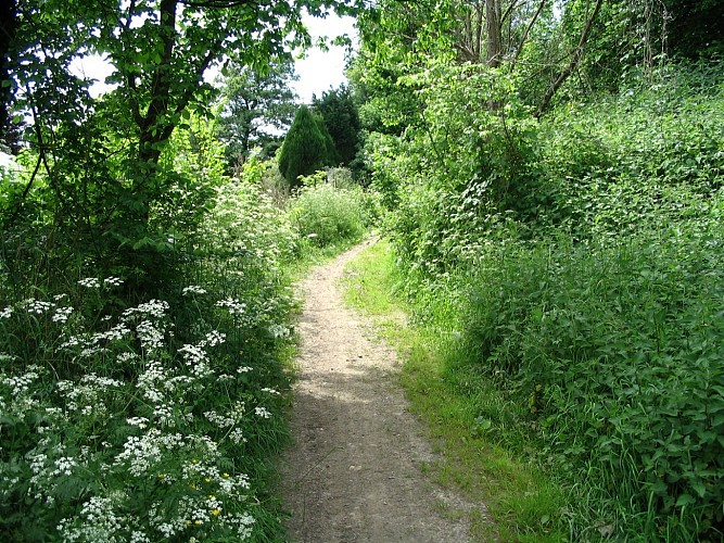 Wandeling : Saint-Remy : Promenade de Leval