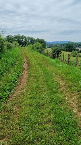 VTTAE Revermont - circuit n°9