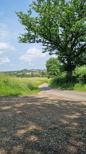 VTTAE Revermont - circuit n°9