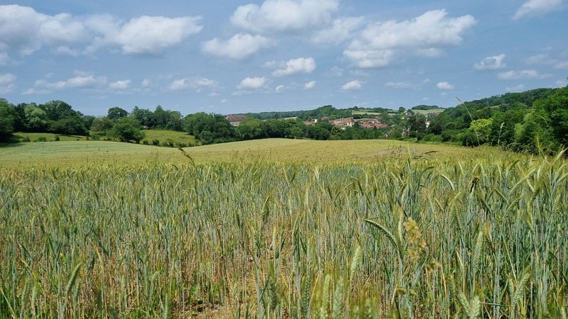 VTTAE Revermont - circuit n°9