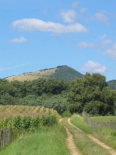 VTTAE Revermont - circuit n°9