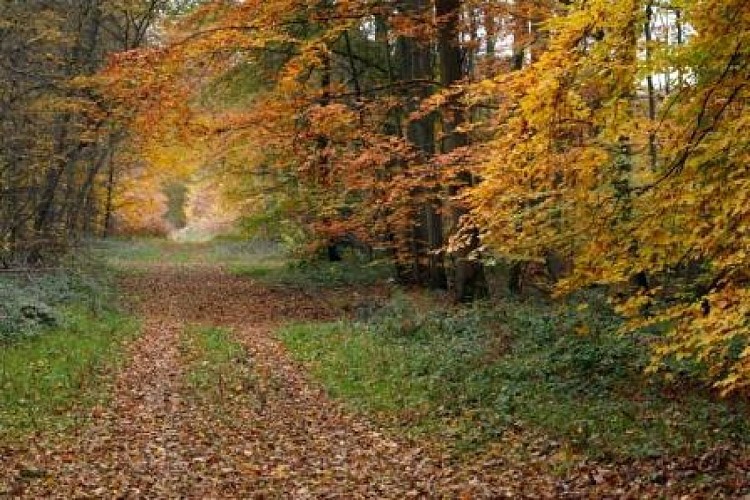 Alla conquista del Monte Pagnotte