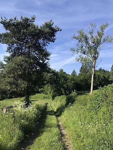 Au fil de la Dejoune (raccourci de 15 km)