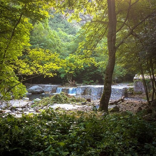 Piscine Naturelle du Montdony