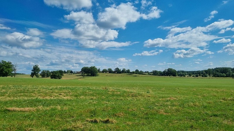 Circuit VTTAE n°9 (rouge) - Le bocage de Foissiat