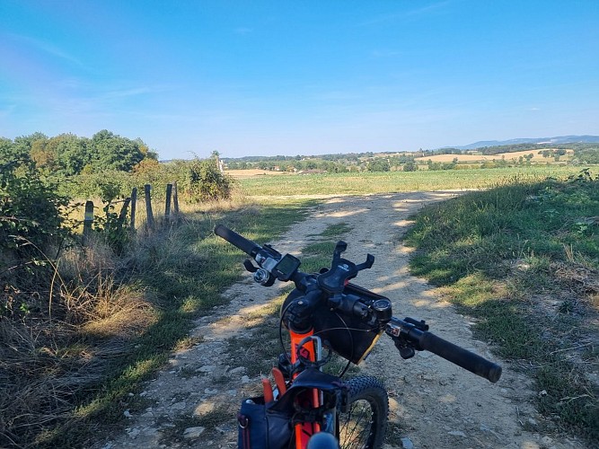 Les grandes terres de Marboz