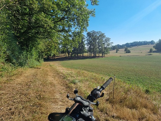 Les grandes terres de Marboz