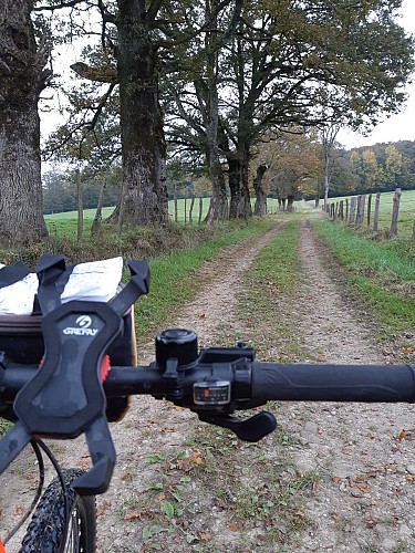 Circuit VTTAE n°6 (rouge) Chemins des bois de Bresse