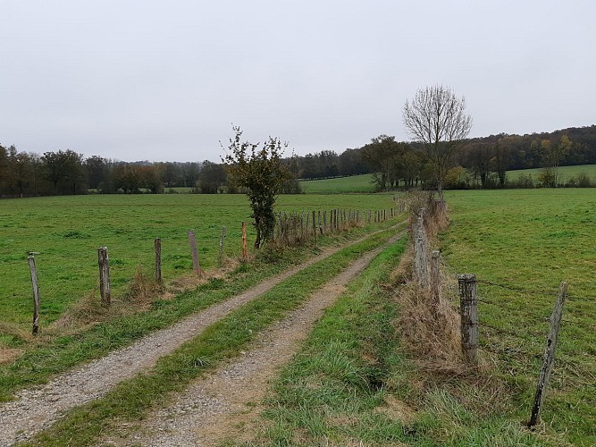 Circuit VTTAE n°6 (rouge) Chemins des bois de Bresse