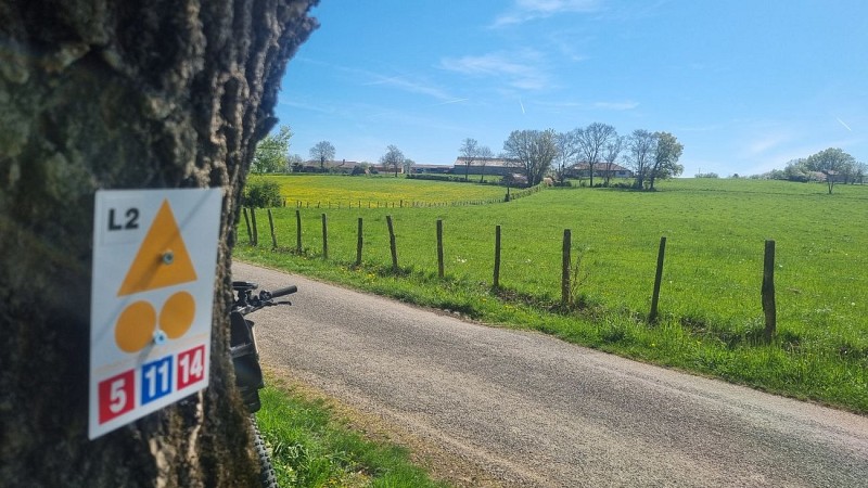 Circuit VTTAE n°5 (rouge) - De la Bresse des lacs à l'étang Pontremble_Montrevel-en-Bresse