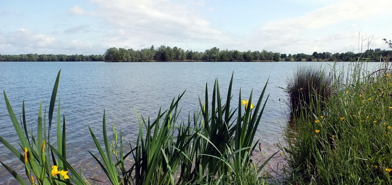 Circuit VTTAE n°5 (rouge) - De la Bresse des lacs à l'étang Pontremble