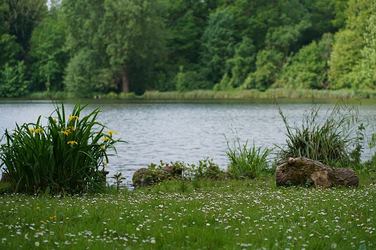 Étangs de Saint-Pierre