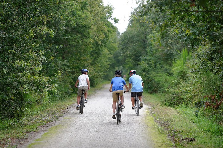 2014 rando voie verte velo 7566 ©PWallCD79-