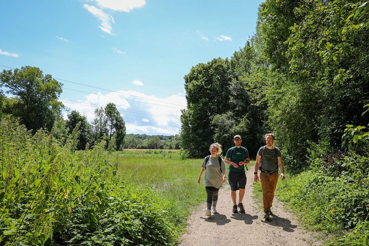 Praire alluviale au Bois Chardon 