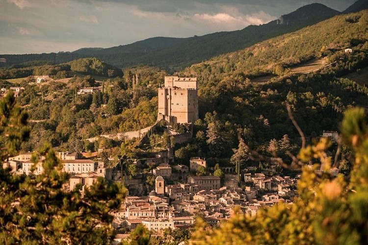 Vallon de la Lozière