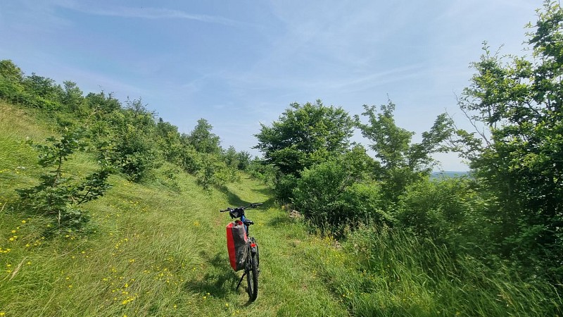 VTTAE n°10 Coligny Plateau de Vergongeat