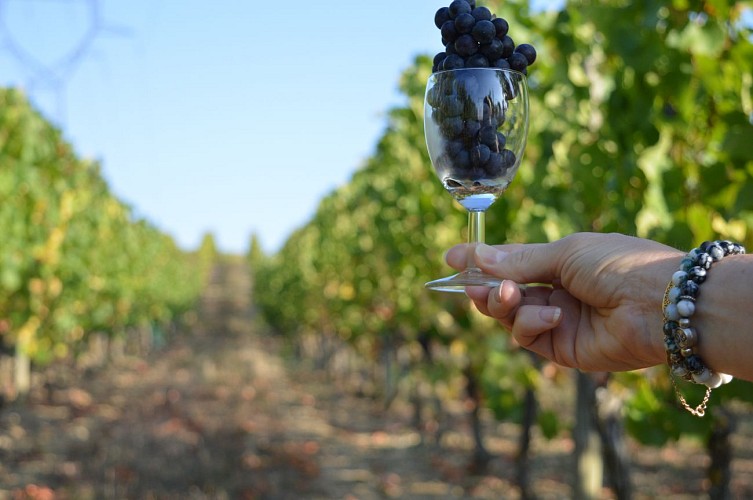 Les crêtes de Cesset - 7.5 km