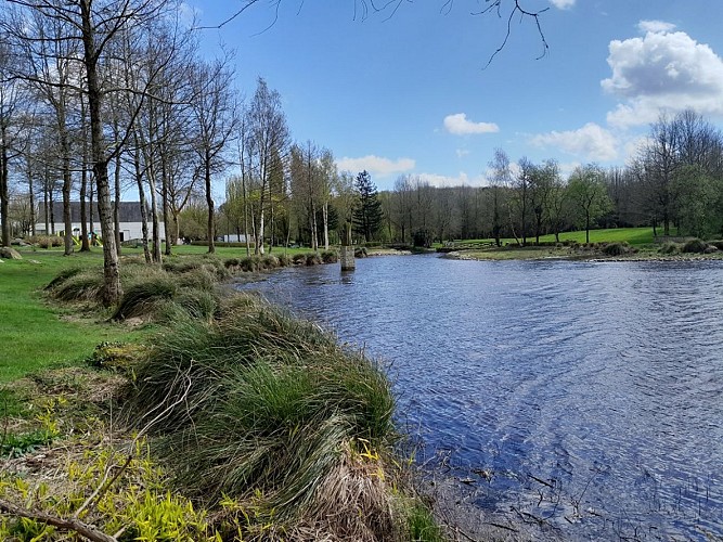 Etang de Réguiny