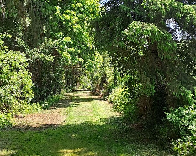 Découvrir le domaine de Courboyer à son rythme